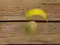 ਫਲ ਸ਼ੂਟਿੰਗ 