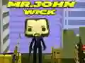 ਮਿਸਟਰ ਜੌਨ ਵਿਕ 