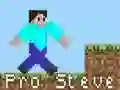 ਪ੍ਰੋ ਸਟੀਵ 