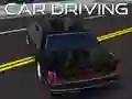 ਕਾਰ ਡਰਾਈਵਿੰਗ ਕਾਰ ਡਰਾਈਵਿੰਗ