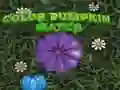 ਰੰਗ ਕੱਦੂ ਮੈਚ ਰੰਗ ਕੱਦੂ ਮੈਚ