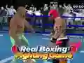ਅਸਲ ਮੁੱਕੇਬਾਜ਼ੀ ਲੜਾਈ ਦੀ ਖੇਡ 