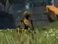 ਸਿਆਣਪ ਅਤੇ ਮੁਕਤੀ ਦੀ ਖੋਜ ਵਿੱਚ 