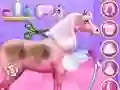 ਰਾਜਕੁਮਾਰੀ ਘੋੜੇ ਦੀ ਦੇਖਭਾਲ 