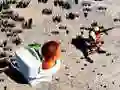 TopDown Skibidi ਟਾਇਲਟ ਸ਼ੂਟਿੰਗ TopDown Skibidi ਟਾਇਲਟ ਸ਼ੂਟਿੰਗ