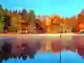 ਫਿਸ਼ਿੰਗ ਸਿਮੂਲੇਟਰ ਔਨਲਾਈਨ 