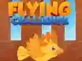 ਫਲਾਇੰਗ ਚੈਲੇਂਜ 