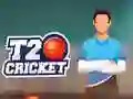 ਟੀ-20 ਕ੍ਰਿਕਟ 