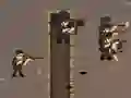 ਰਾਈਫਲ ਹਮਲਾ 