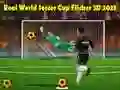ਰੀਅਲ ਵਰਲਡ ਸੌਕਰ ਕੱਪ ਫਲਿੱਕਰ 3D 2023 