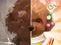 ਪਾਲਤੂ ਮੇਕਅਪ ਮਾਸਟਰ 