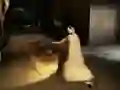 ਨਾਨੀ: ਜੇਲ੍ਹ ਤੋਂ ਬਚਣਾ 