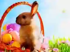 ਈਸਟਰ ਟਾਈਮ ਲੁਕੇ ਤਾਰੇ 