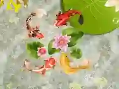 ਕੋਇ ਮੱਛੀ ਤਲਾਅ ਕੋਇ ਮੱਛੀ ਤਲਾਅ