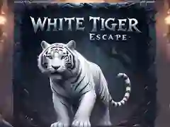 ਵ੍ਹਾਈਟ ਟਾਈਗਰ ਐਸਕੇਪ ਵ੍ਹਾਈਟ ਟਾਈਗਰ ਐਸਕੇਪ