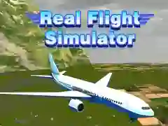 ਰੀਅਲ ਫਲਾਈਟ ਸਿਮੂਲੇਟਰ 