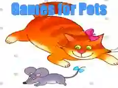 ਪਾਲਤੂ ਜਾਨਵਰਾਂ ਲਈ ਖੇਡਾਂ 