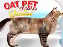 ਬਿੱਲੀ ਪਾਲਤੂ ਡਾਕਟਰ ਦੰਦਾਂ ਦਾ ਡਾਕਟਰ 