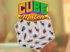 ਘਣ ਮੈਚ ਘਣ ਮੈਚ