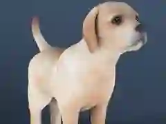 ਵਿਹਲੇ ਪਾਲਤੂ 
