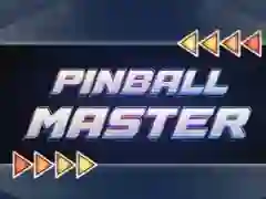ਪਿਨਬਾਲ ਮਾਸਟਰ 