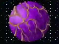 ਕਲਿਕੇਟ 