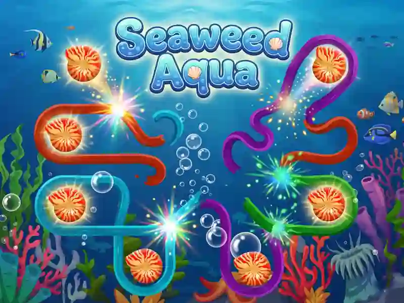 Seaweed Aqua
