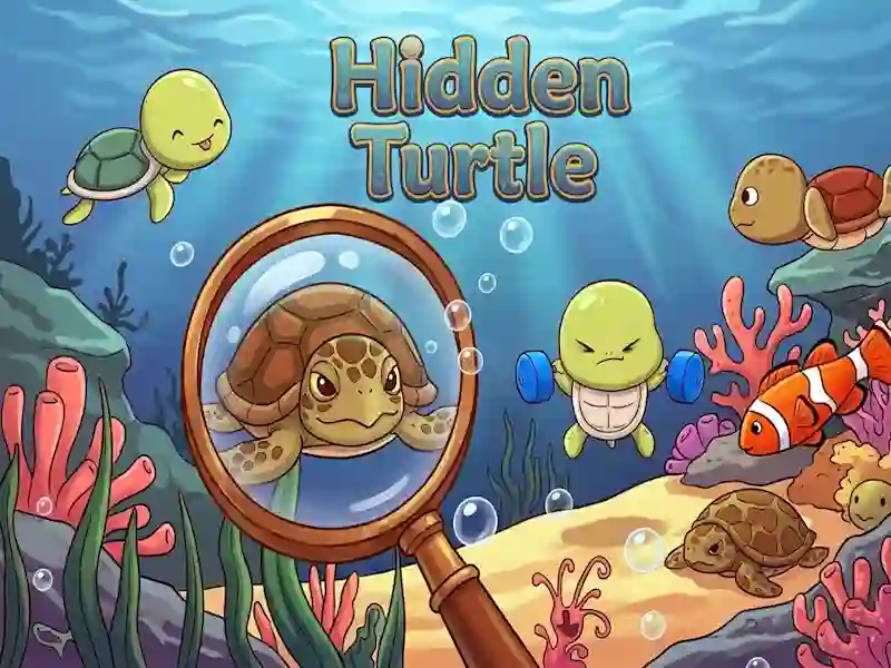 Hidden Turtle