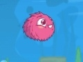 Frizzle Fraz 6 