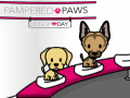 Pampered Paws Doggy Day 