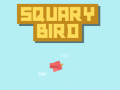Squary ਪੰਛੀ 