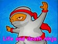 ਜੀਵਨ ਅਤੇ ਮੌਤ ਨਿਣਜਾਹ 