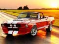 ਸ਼ਾਨਦਾਰ Mustang ਅੰਤਰ 