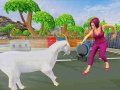 ਗੁੱਸੇ ਵਾਲੀ ਬੱਕਰੀ ਜੰਗਲੀ ਜਾਨਵਰ ਦਾ ਗੁੱਸਾ 