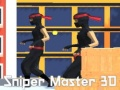 ਸਨਾਈਪਰ ਮਾਸਟਰ 3D 