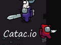 ਕੈਟਾਕ. io 
