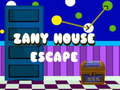Zany House Escape 