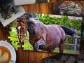Jigsaw Puzzle Horses ਐਡੀਸ਼ਨ 