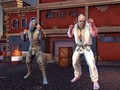 ਲੜਾਕਿਆਂ ਦੀ ਦੁਨੀਆ: ਆਇਰਨ ਫਿਸਟ 