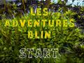 Les Adventures Blin 