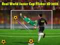ਰੀਅਲ ਵਰਲਡ ਸੌਕਰ ਕੱਪ ਫਲਿੱਕਰ 3D 2023 