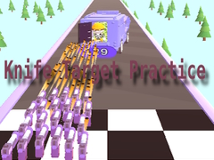 ਚਾਕੂ ਨਿਸ਼ਾਨਾ ਅਭਿਆਸ 